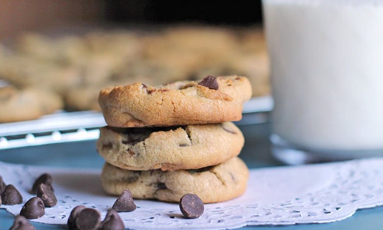 chocolate chip cookie