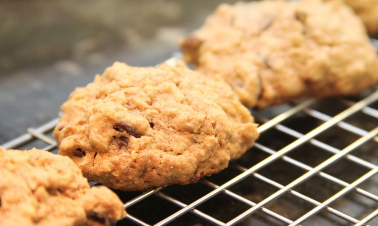 oatmeal cookies